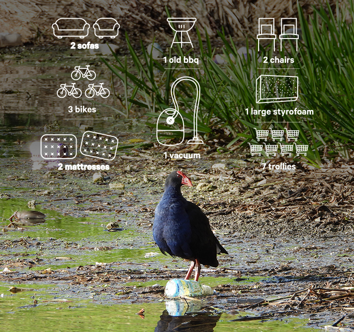 New Zealand’s extreme stream clean New Zealand’s extreme stream clean