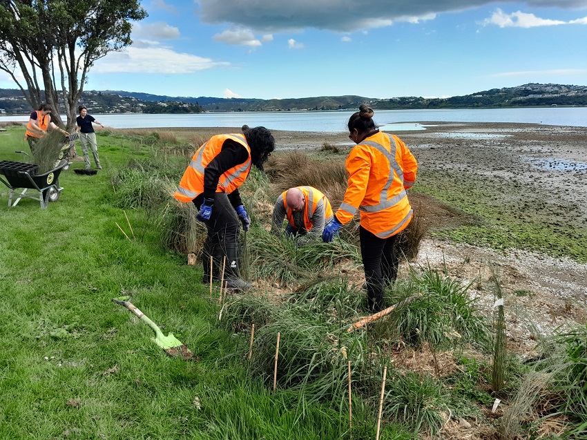 Downer volunteers to restore Pāuātahanui Inlet