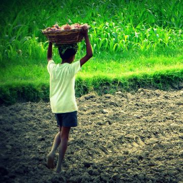 Modern Slavery