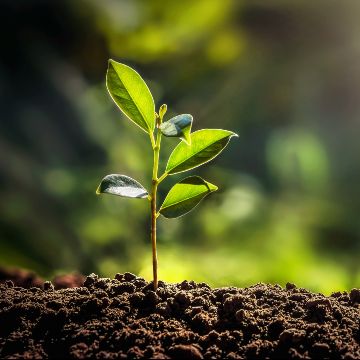 Sustainability Linked Loan - Second Party Opinion