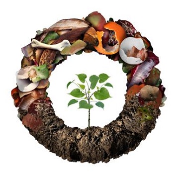 Waste and circular economy