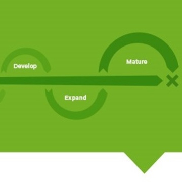 SME incubation: A Model for Success